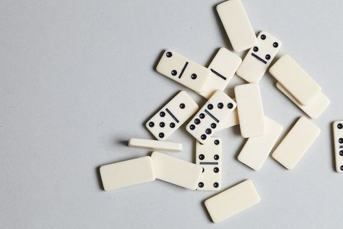 Nạn cướp cá tra trong lúc thu hoạch ảnh 1